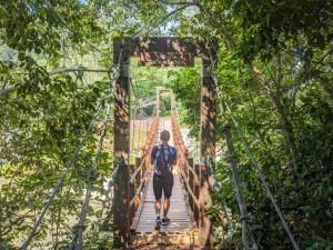 Penang National Park Hike To Turtle Beach